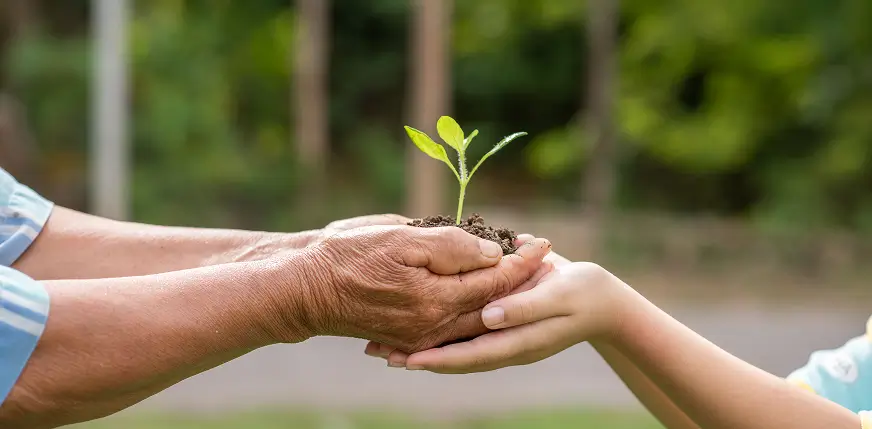 Giving with Purpose: How Your Donations Make a Difference